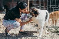 /album/220/whatsapp-image-2026-01-14-at-22-07-13-1-jpeg/